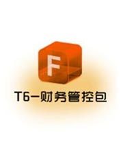 T6-财务管理