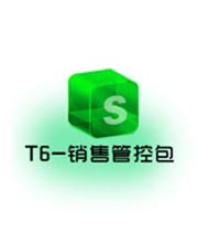 T6-销售管理